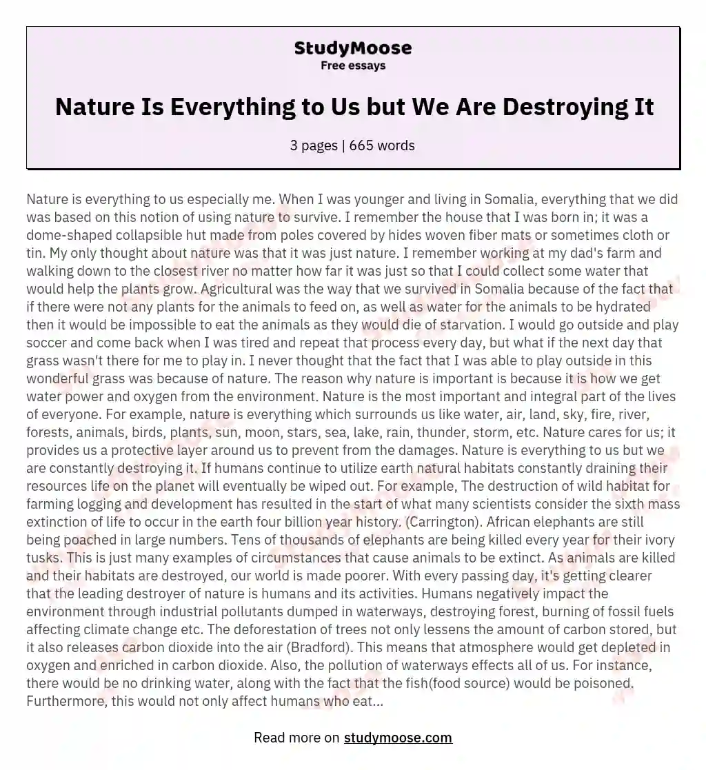 Nature Is Everything to Us but We Are Destroying It essay