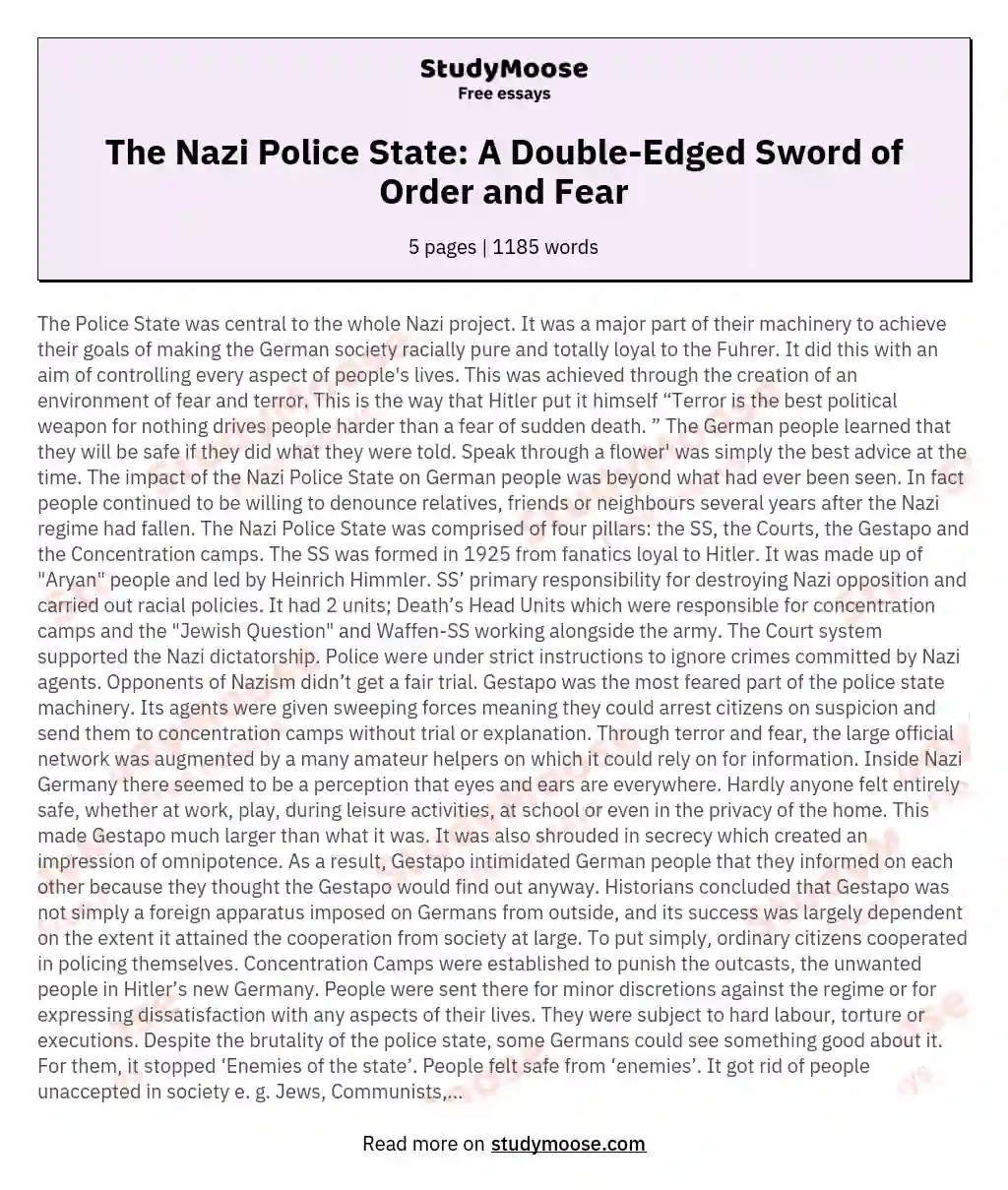 The Nazi Police State: A Double-Edged Sword of Order and Fear essay