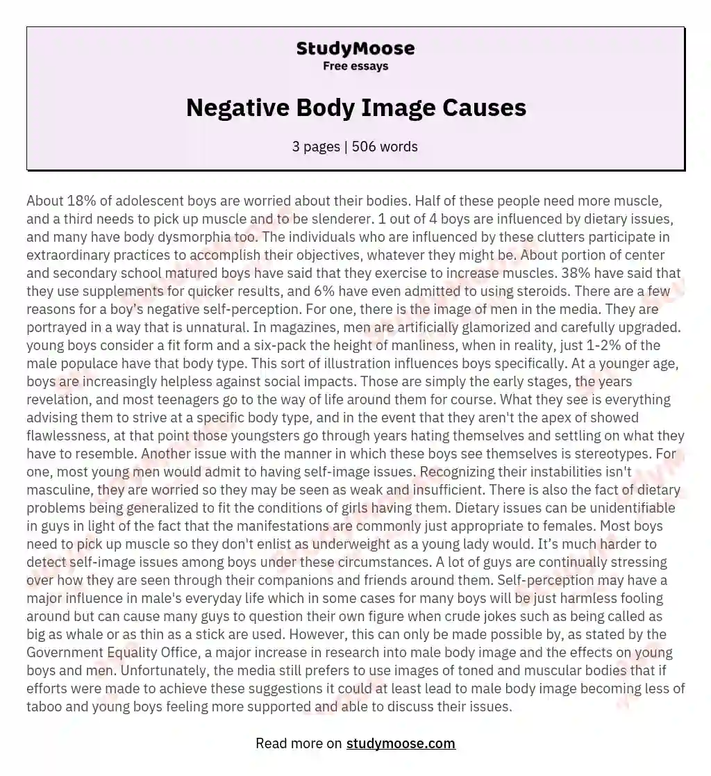 Negative Body Image Causes essay