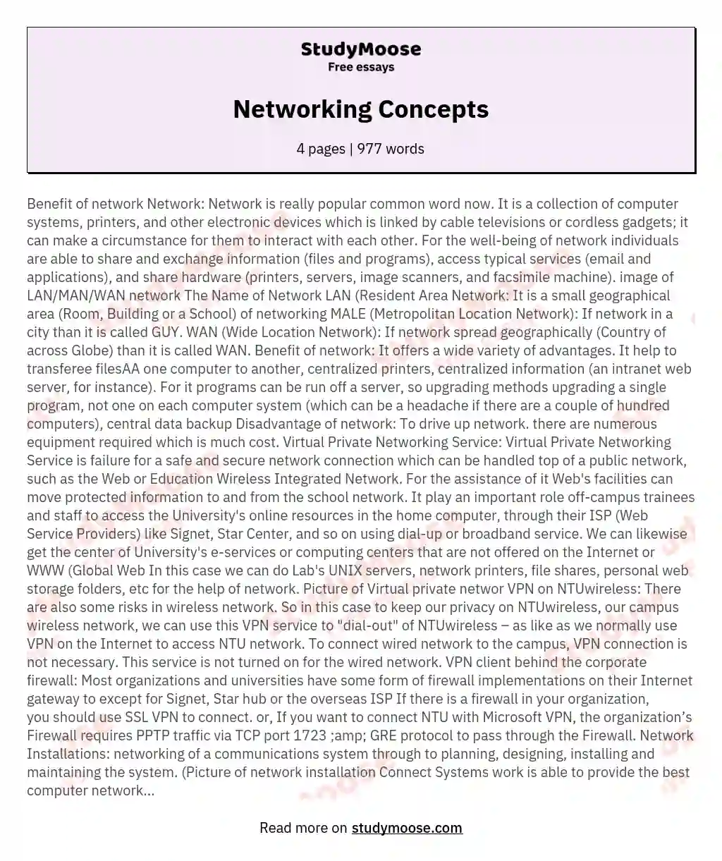 Networking Concepts essay