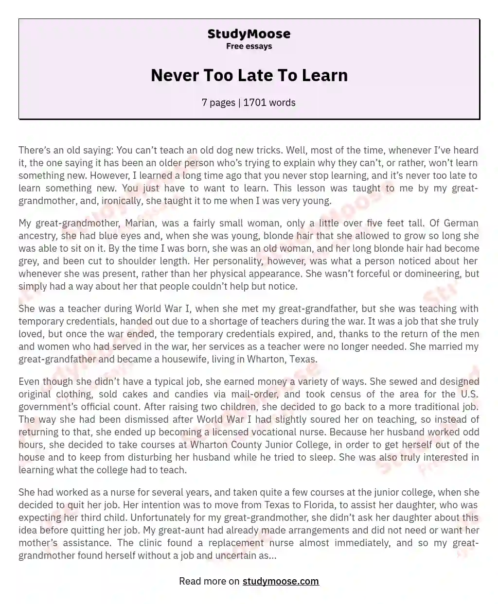 Never Too Late To Learn essay