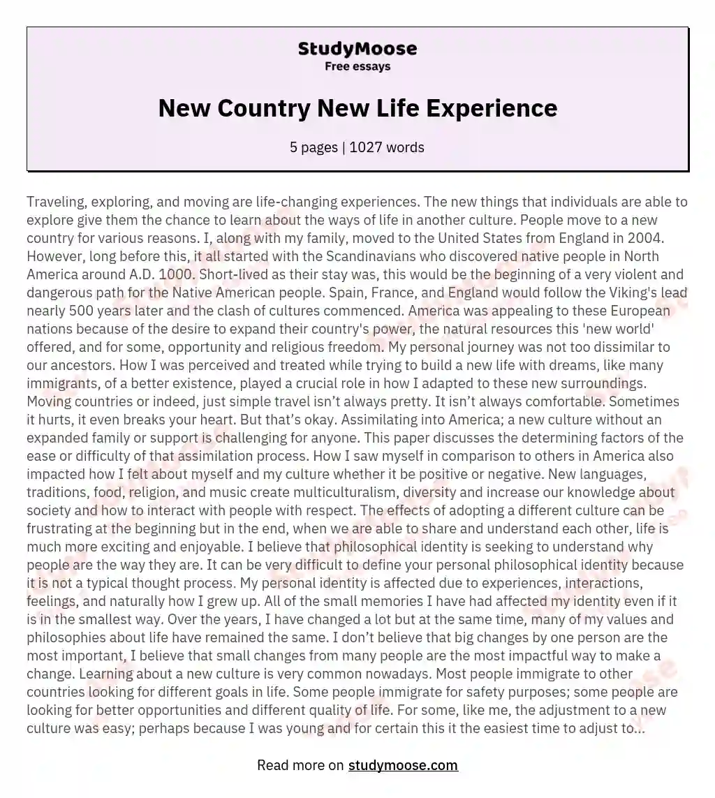 New Country New Life Experience essay