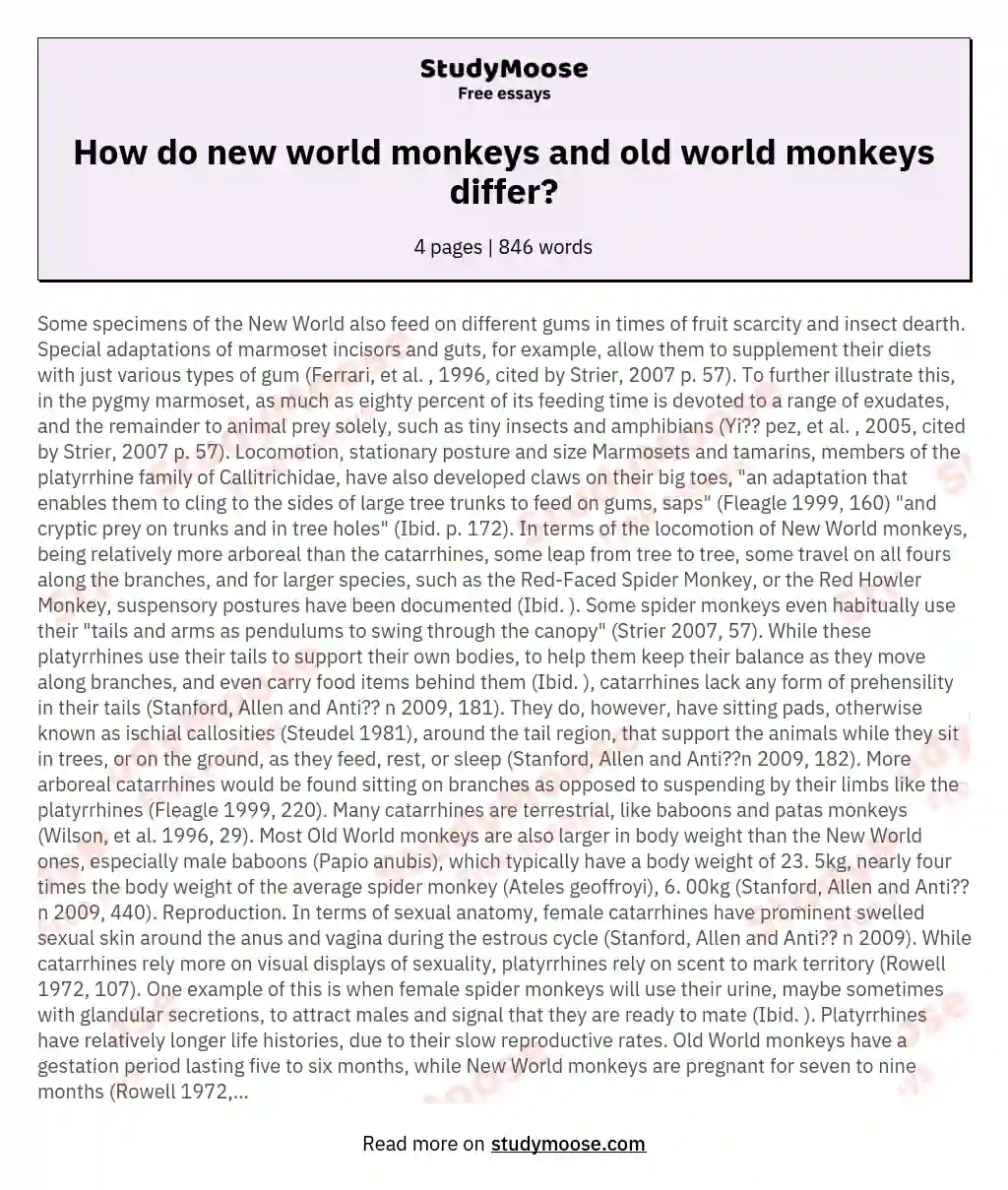 How do new world monkeys and old world monkeys differ? essay