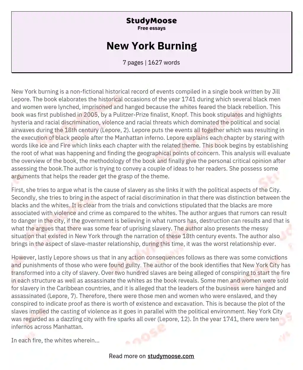 New York Burning essay