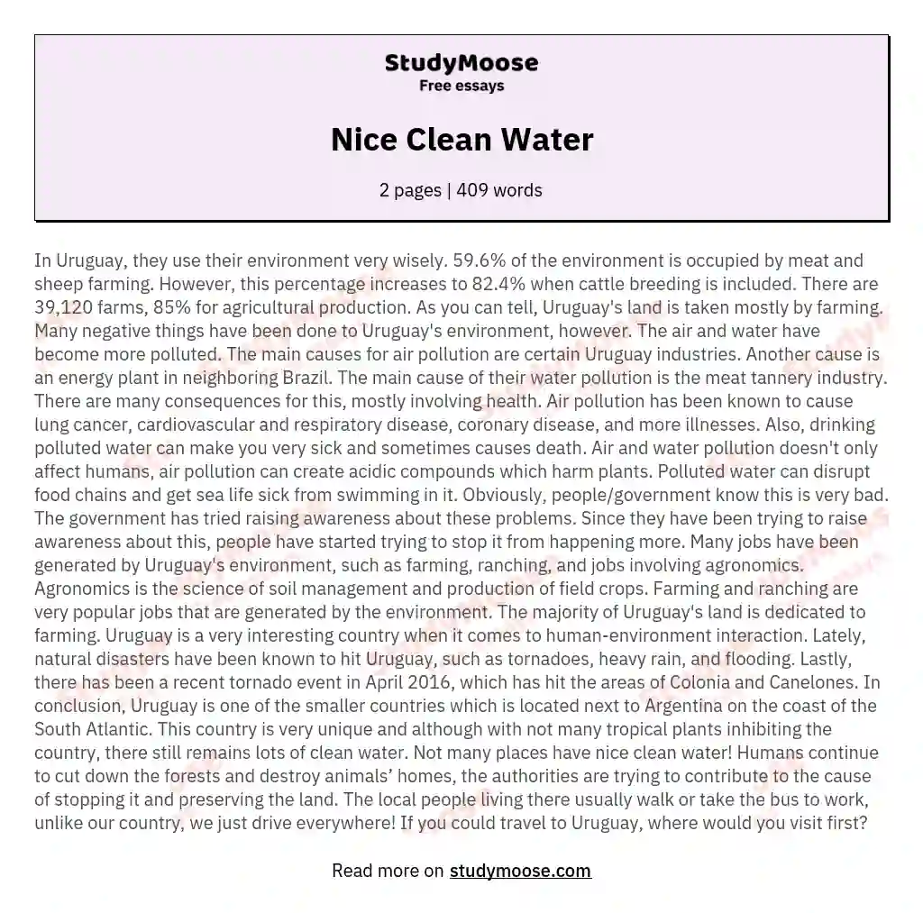Nice Clean Water essay