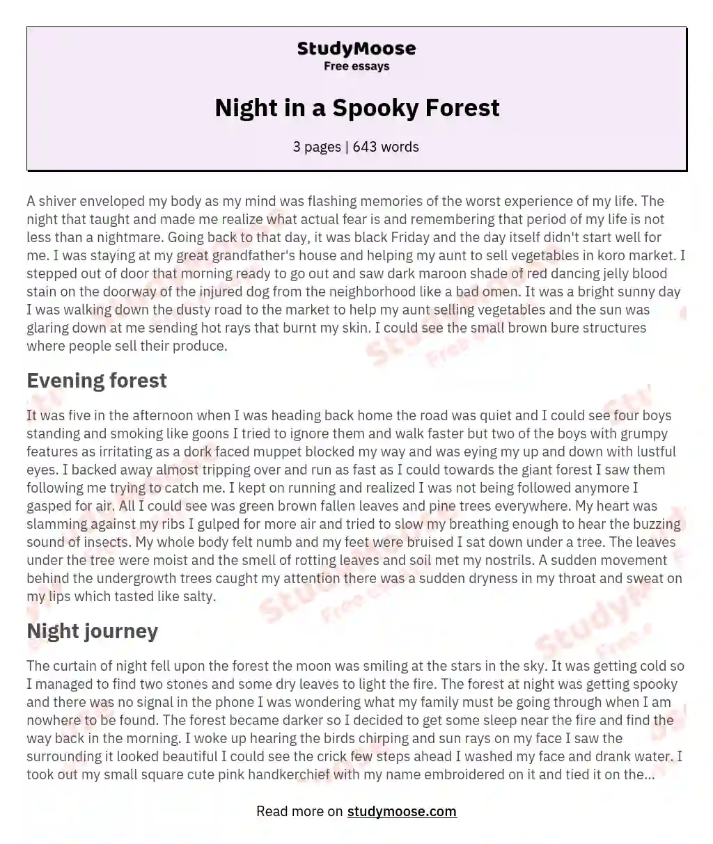 scary night descriptive essay