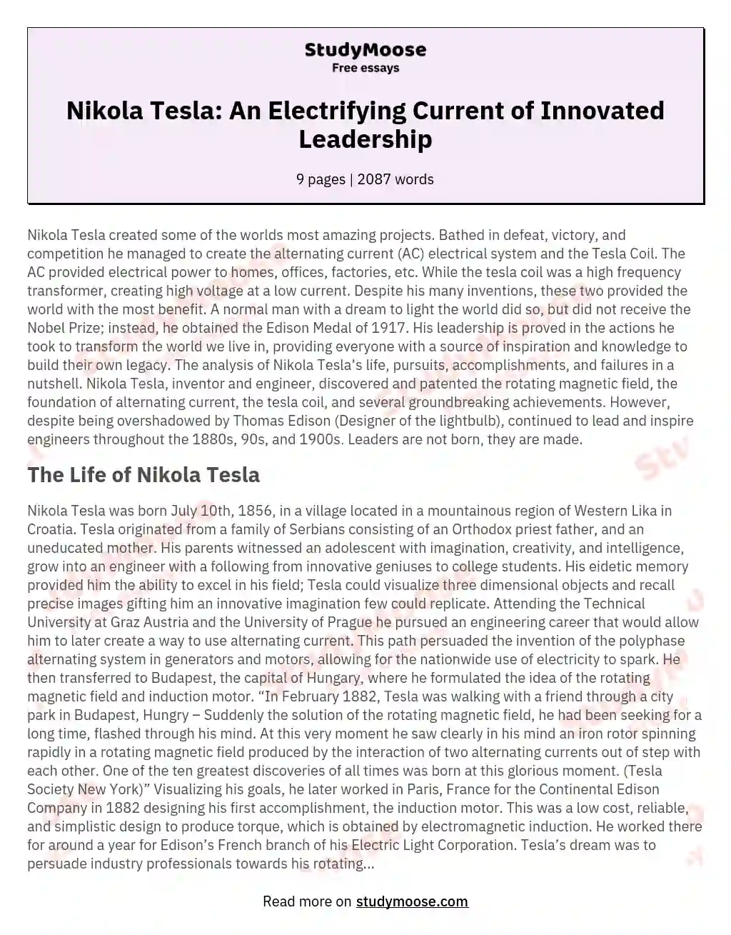 Nikola Tesla:  An Electrifying Current of Innovated Leadership essay