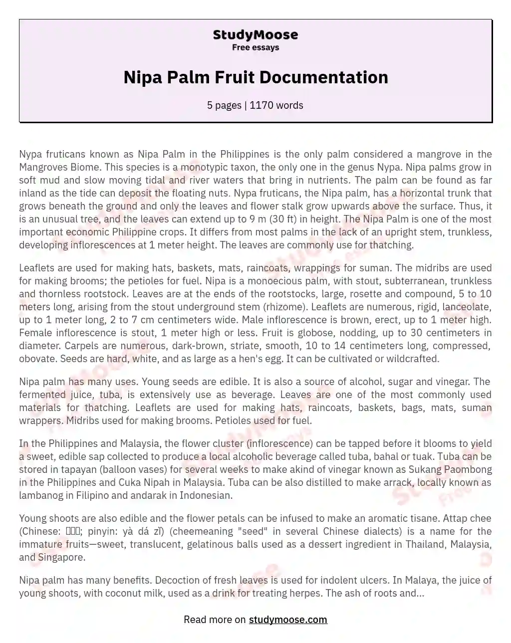 Nipa Palm Fruit Documentation essay