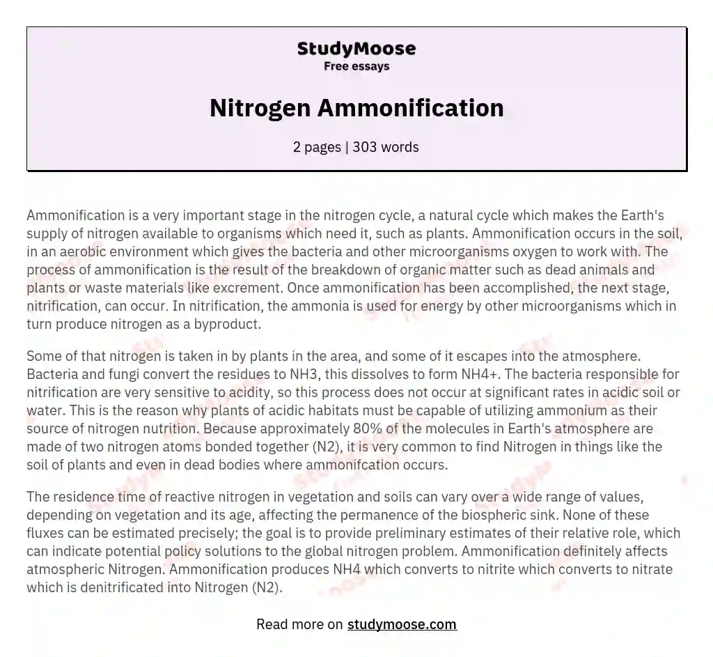 Nitrogen Ammonification essay