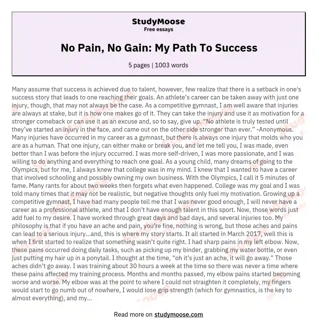No Pain, No Gain: My Path To Success essay