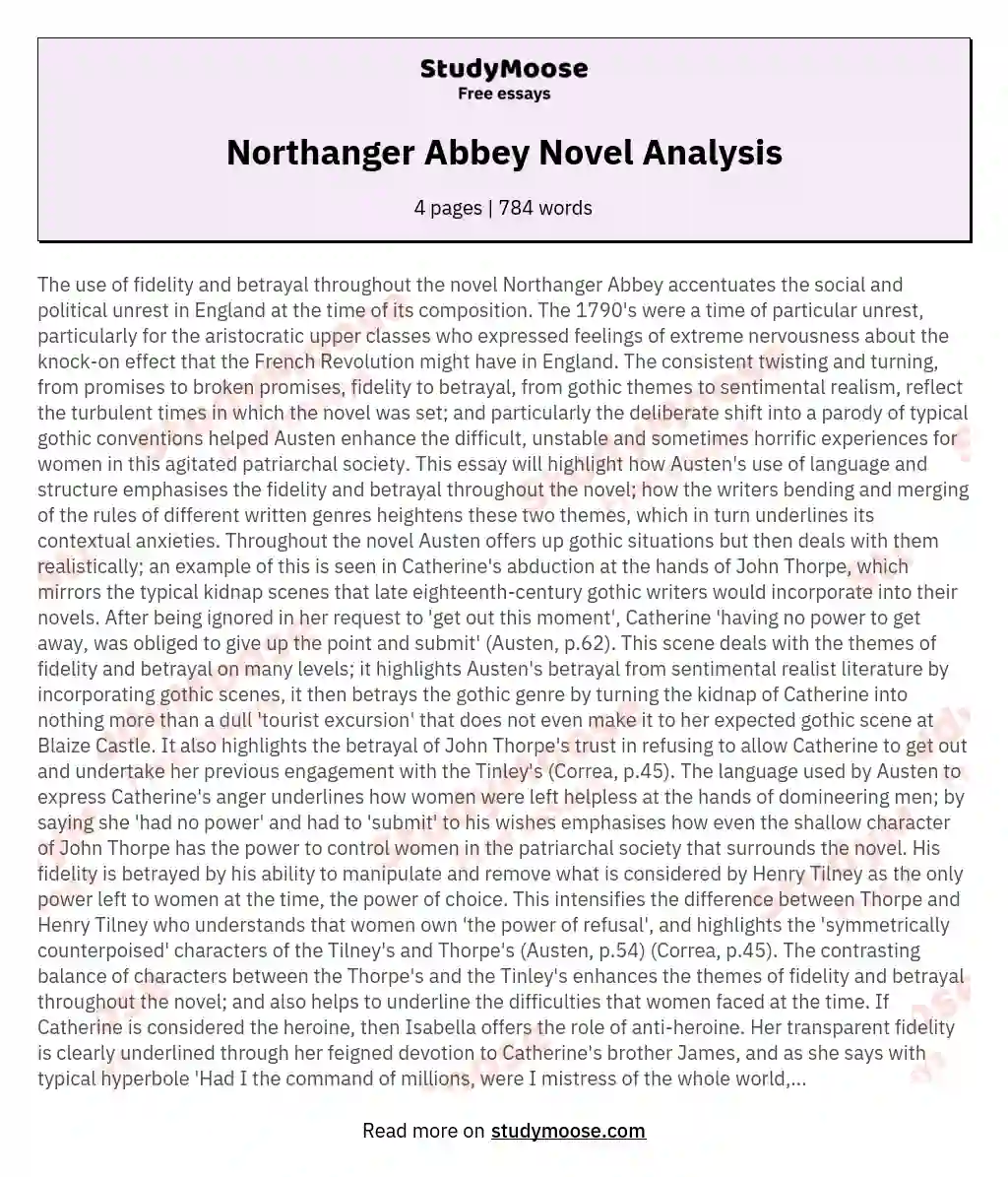 Northanger Abbey Novel Analysis essay