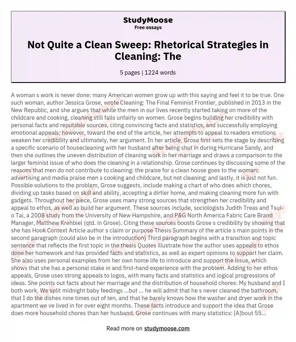 Not Quite a Clean Sweep: Rhetorical Strategies in Cleaning: The essay
