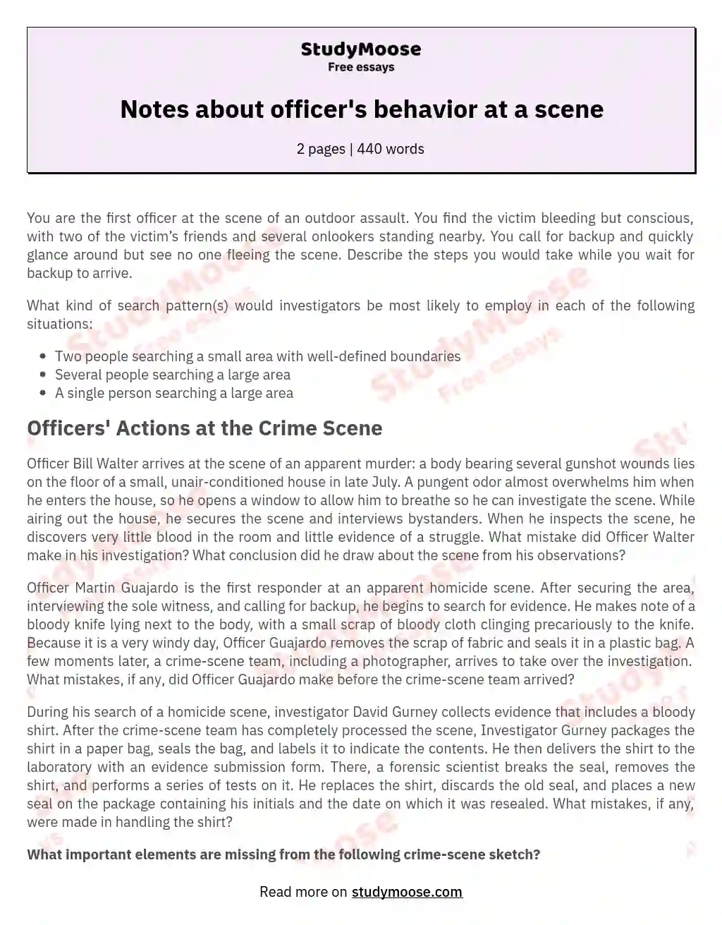 Notes about officer's behavior at a scene essay