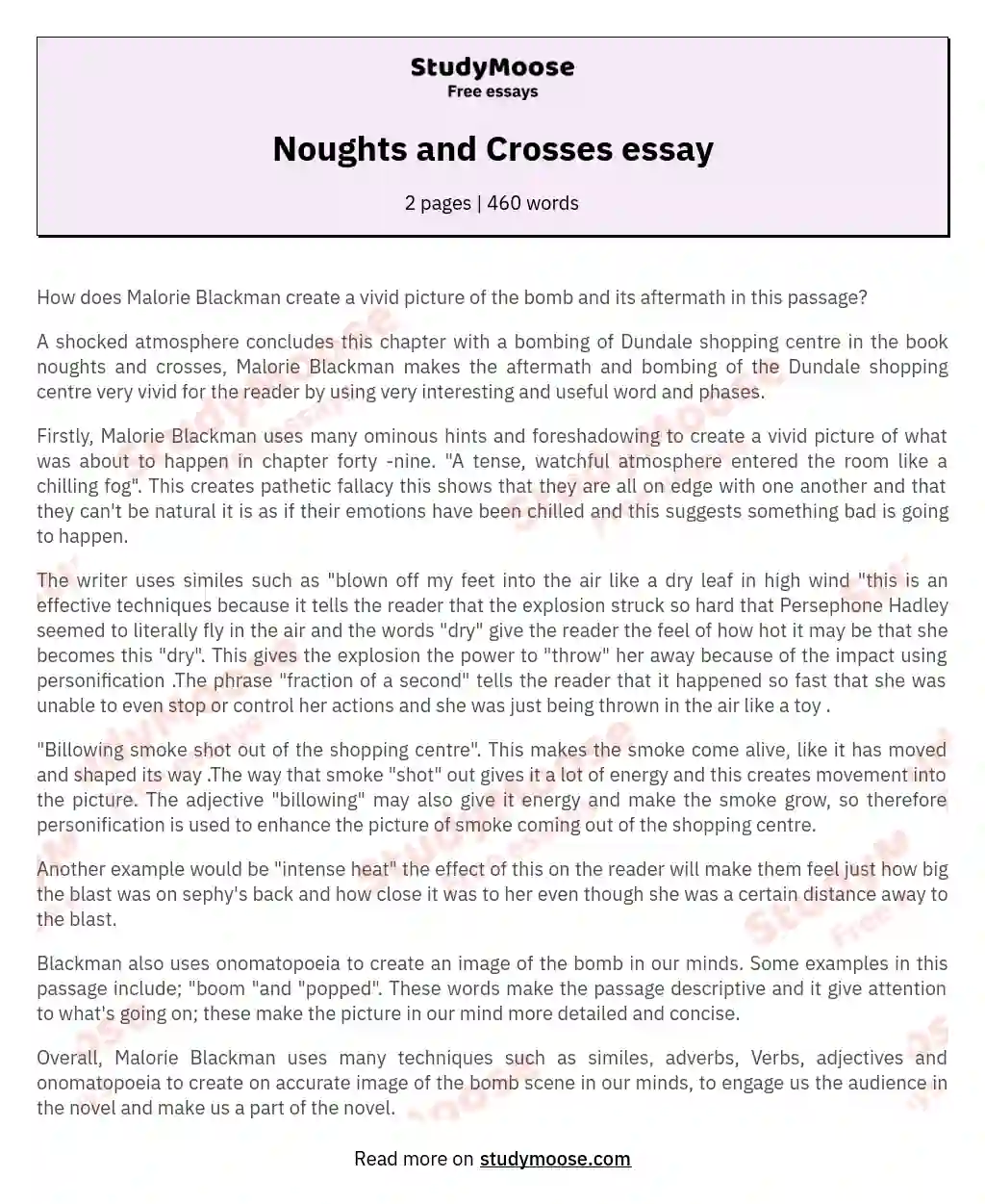 Noughts and Crosses essay essay