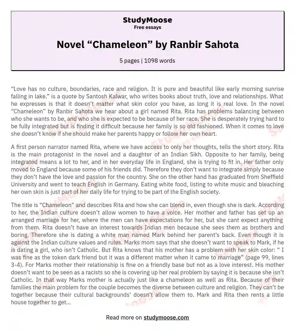 Novel “Chameleon” by Ranbir Sahota essay