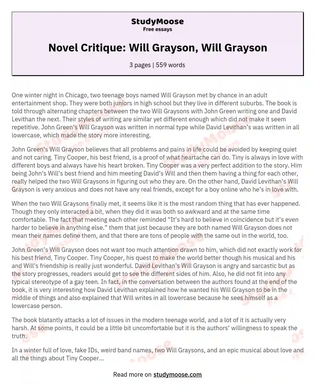 Novel Critique: Will Grayson, Will Grayson essay