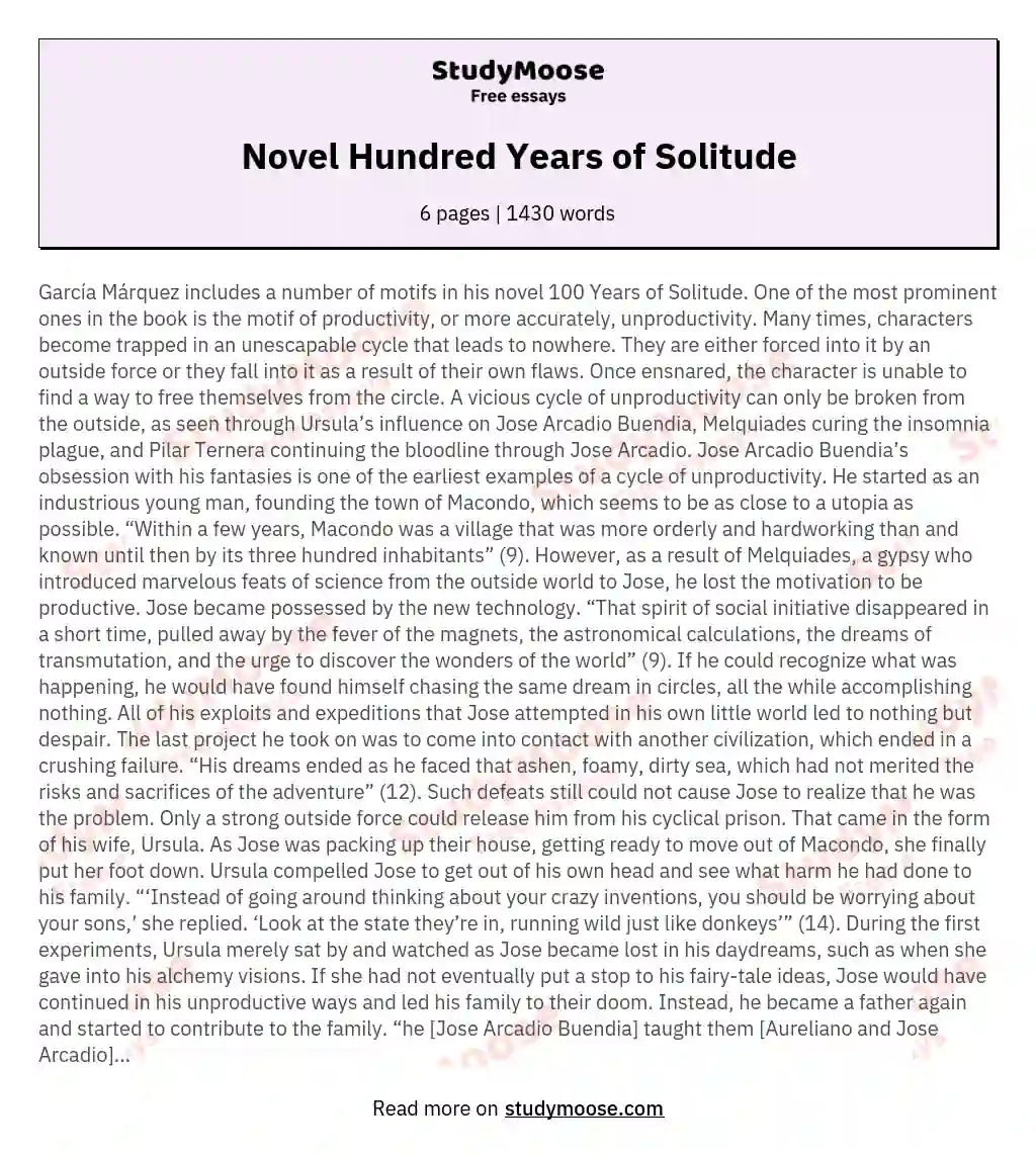 Novel Hundred Years of Solitude essay