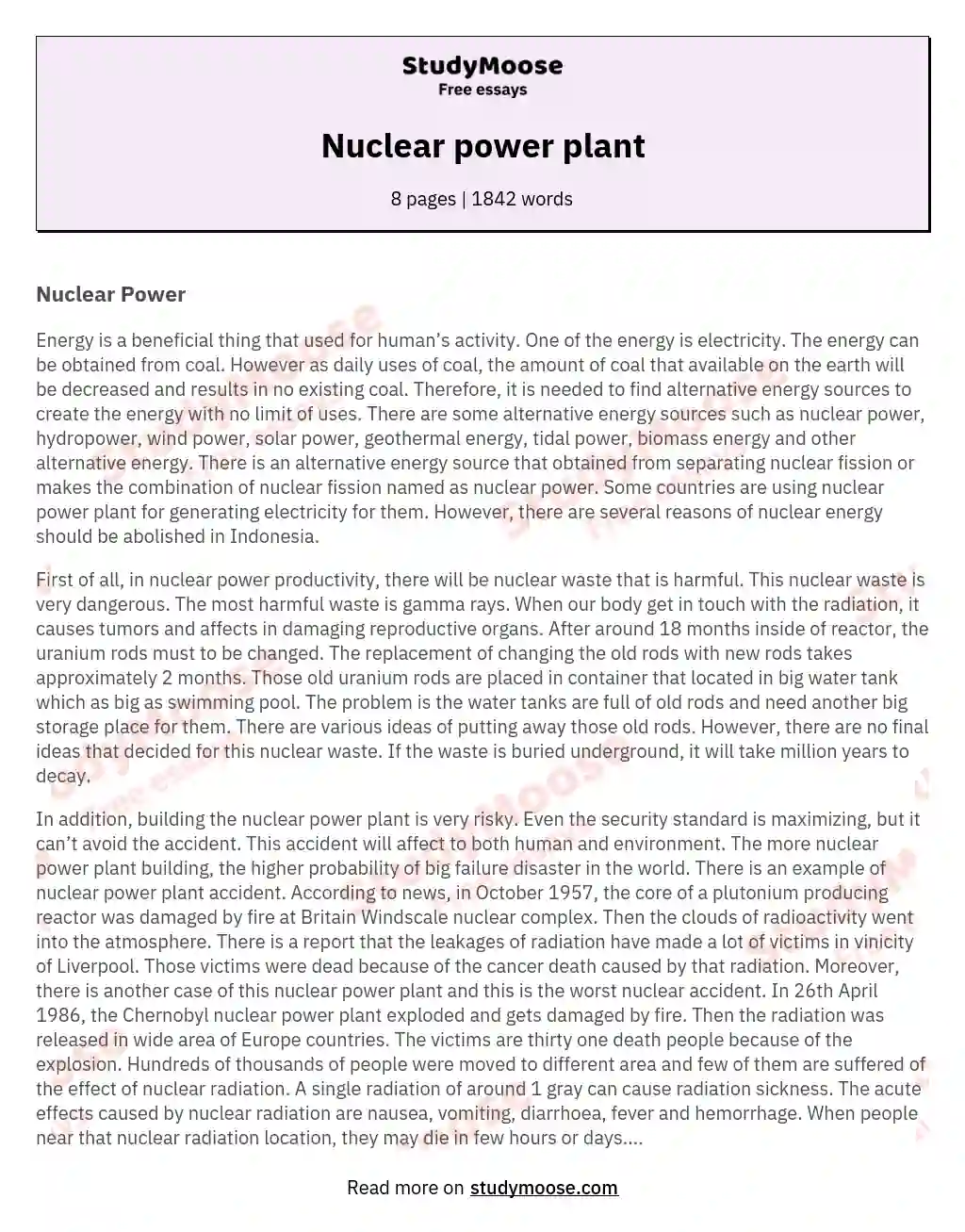 Nuclear power plant essay