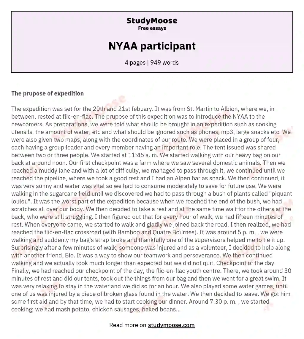 NYAA participant essay