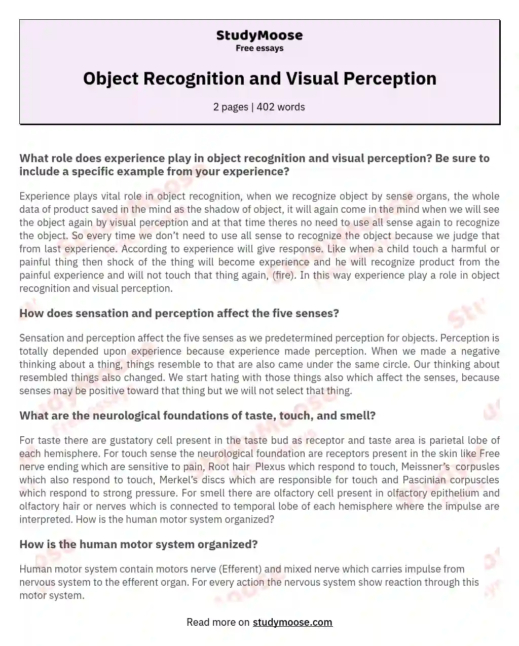 Object Recognition and Visual Perception essay