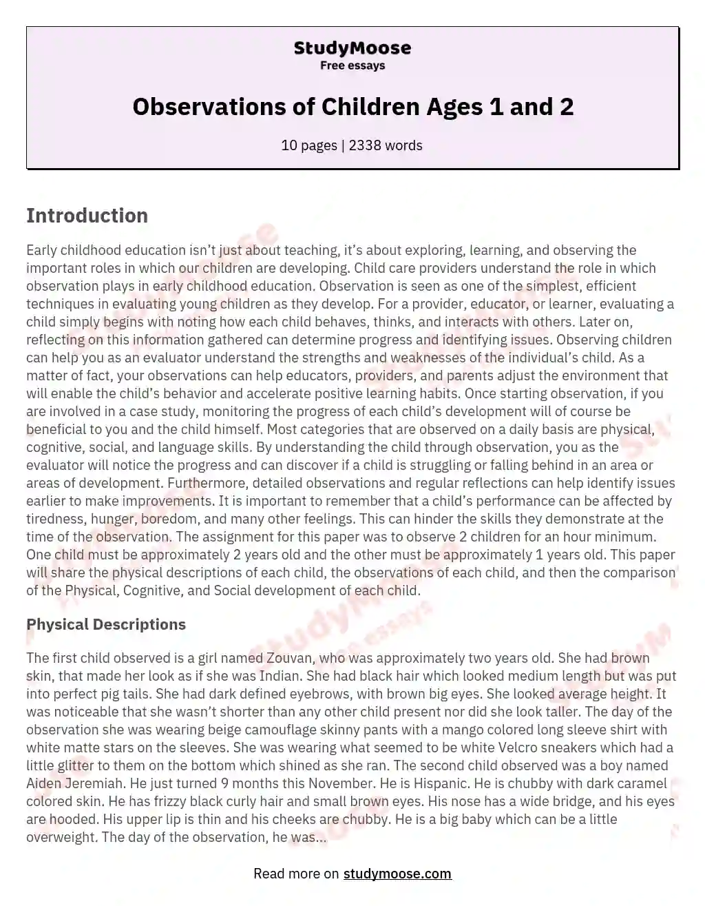 Observations of Children Ages 1 and 2 essay