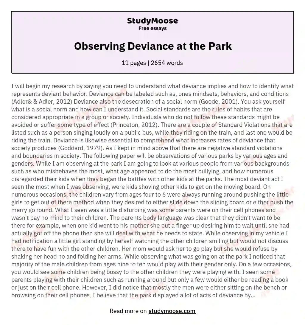 Observing Deviance at the Park essay