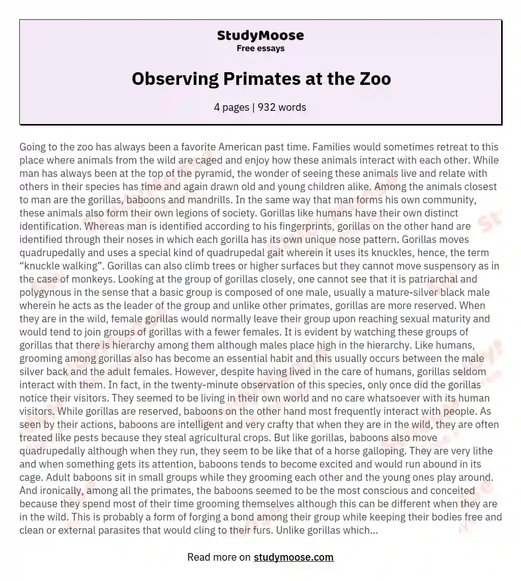 Observing Primates at the Zoo essay