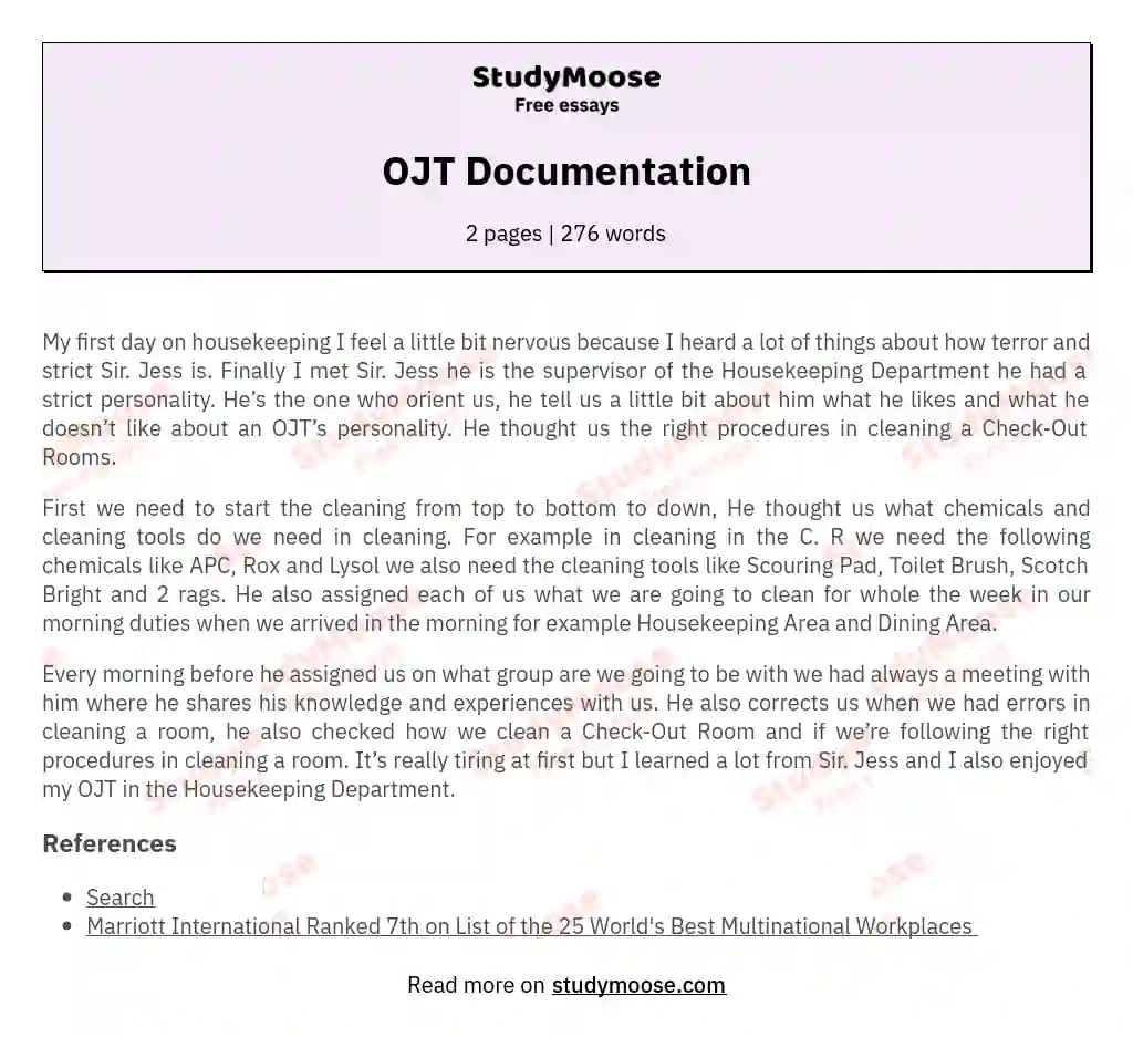 OJT Documentation essay