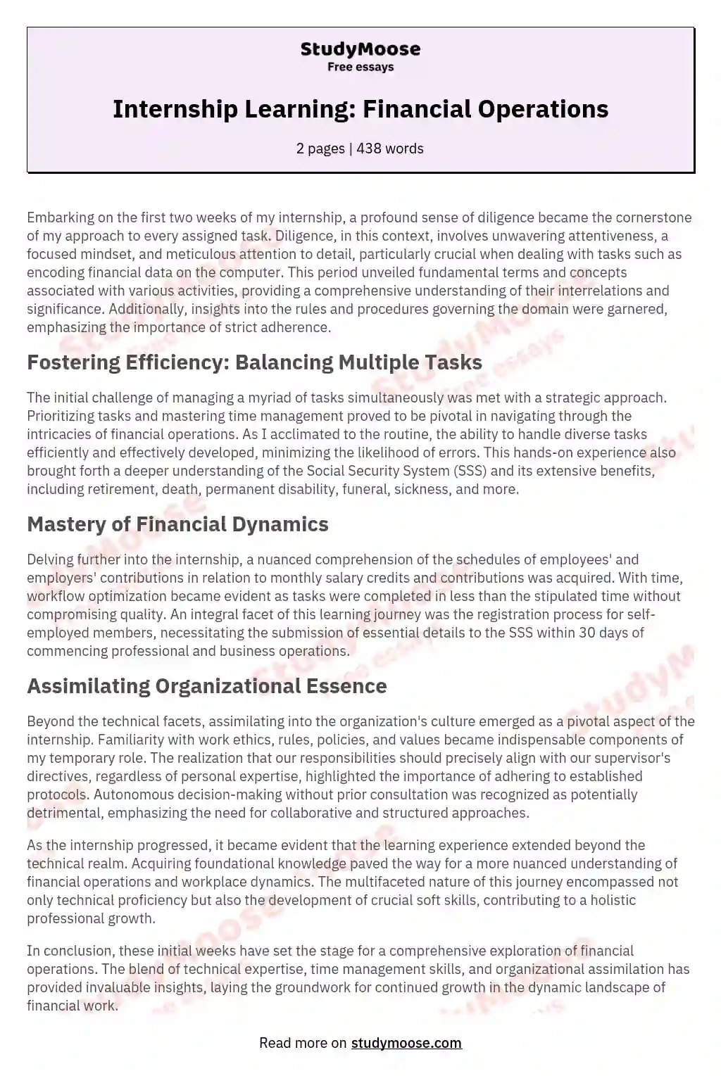 Internship Learning: Financial Operations essay