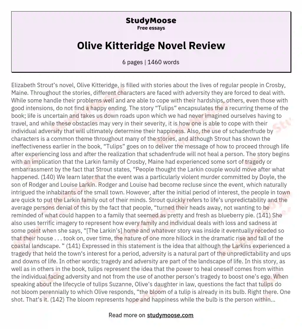 Olive Kitteridge Novel Review essay