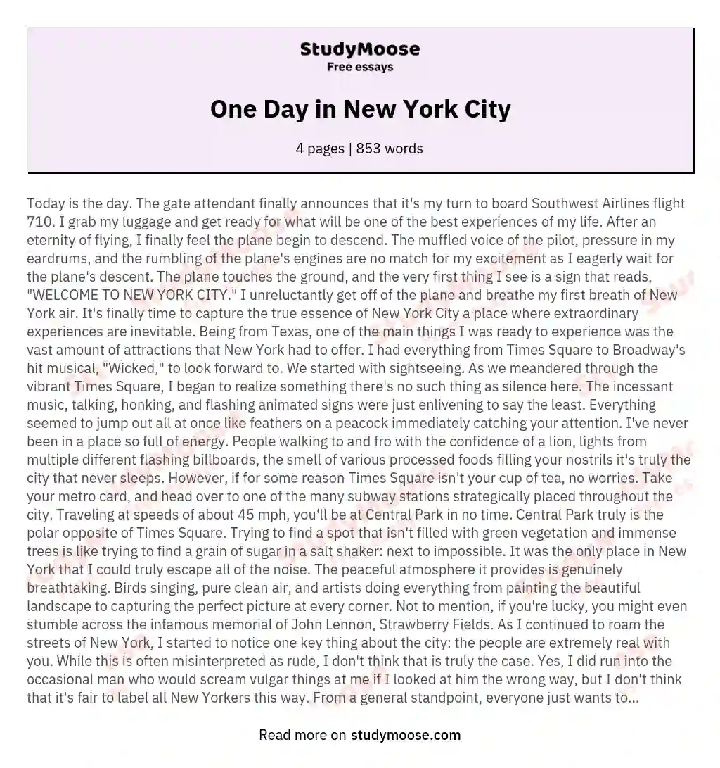 One Day in New York City essay
