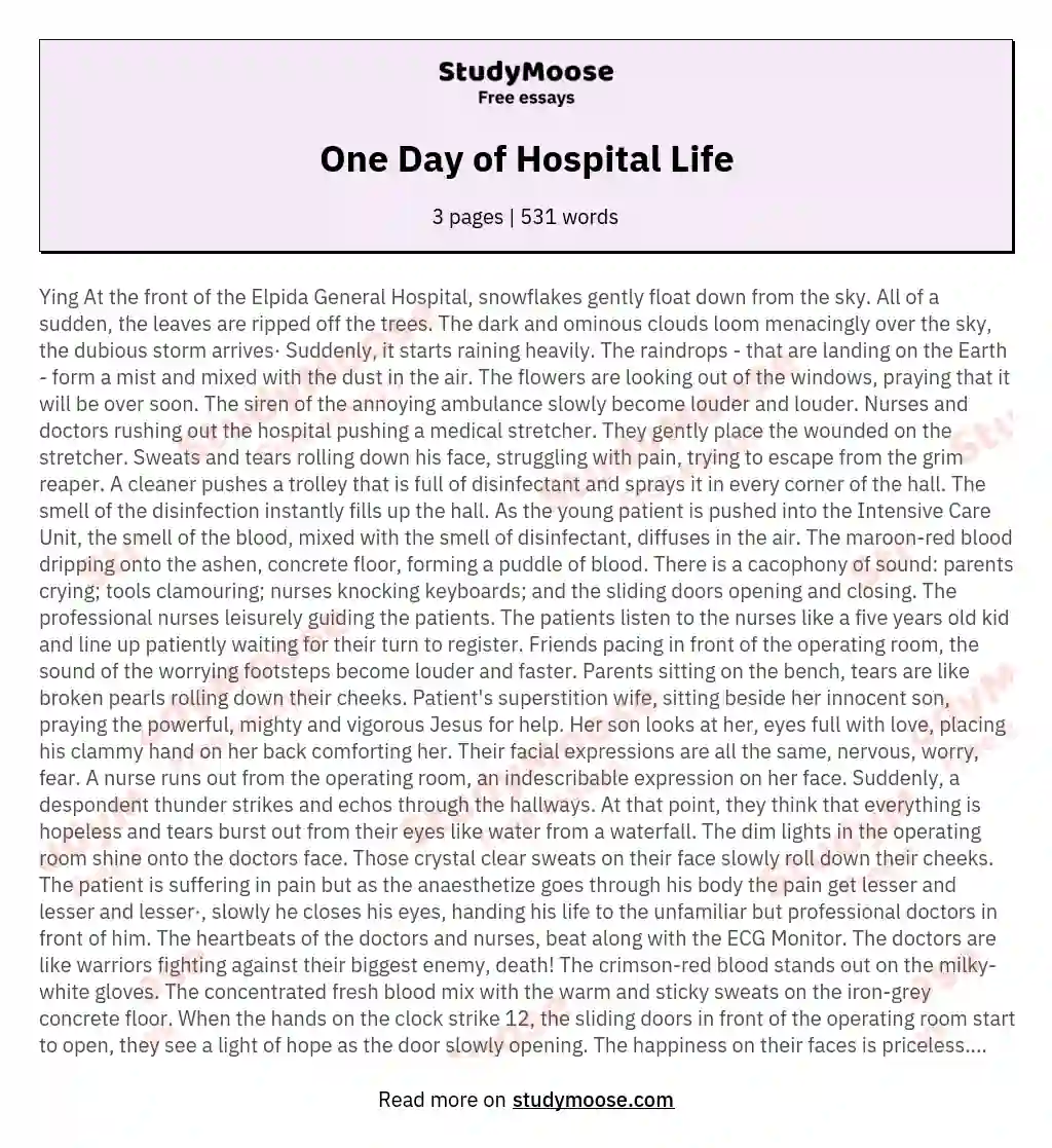 One Day of Hospital Life essay