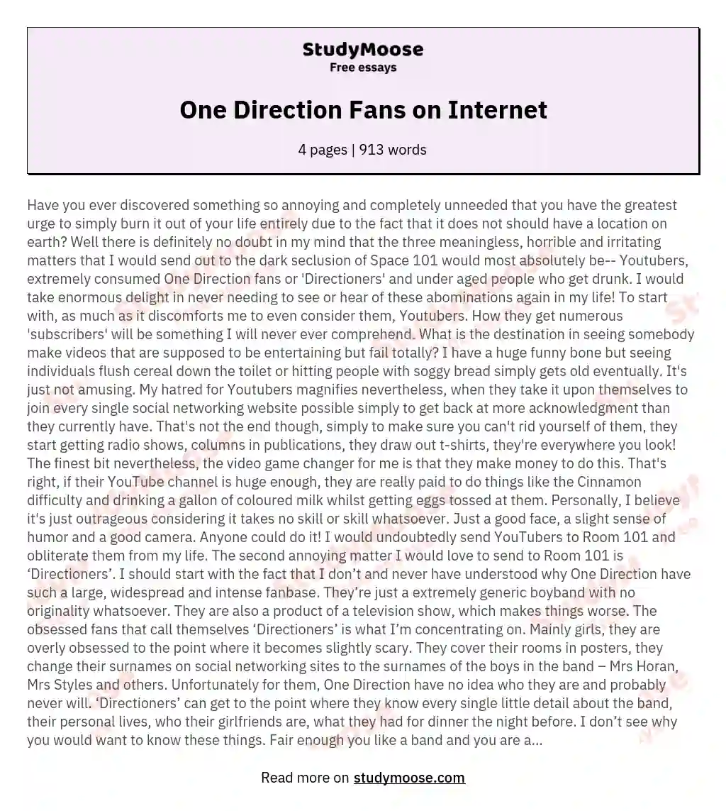 One Direction Fans on Internet essay