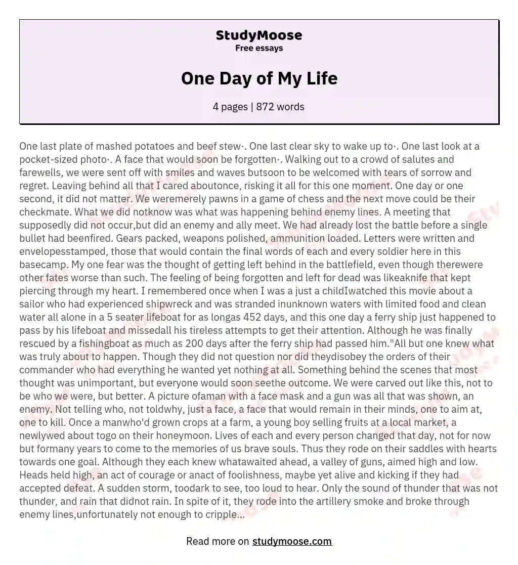 One Day of My Life essay