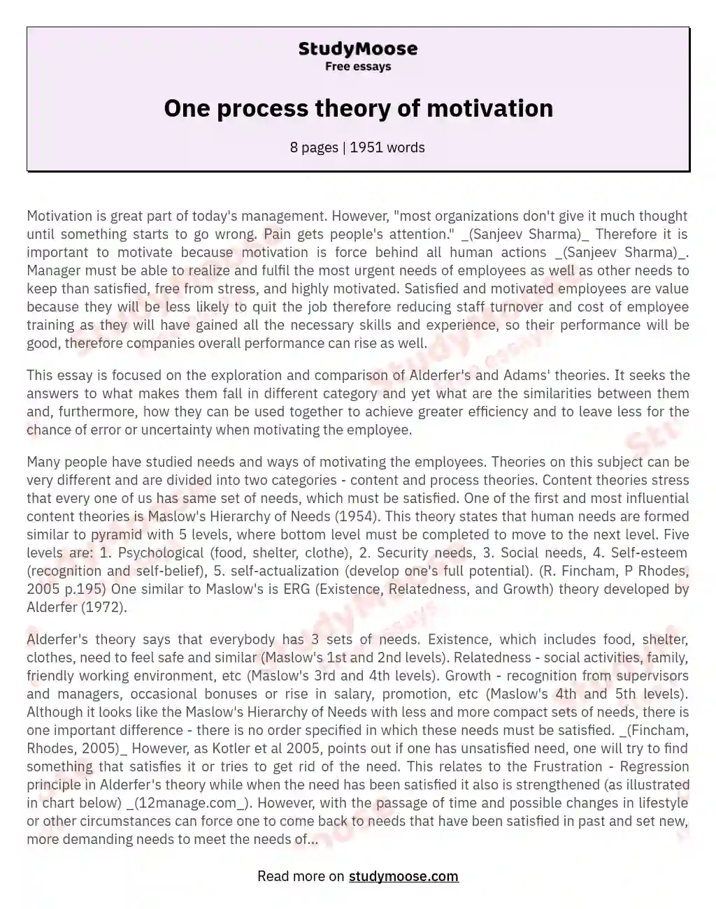 The Significance of Motivation in Modern Management essay