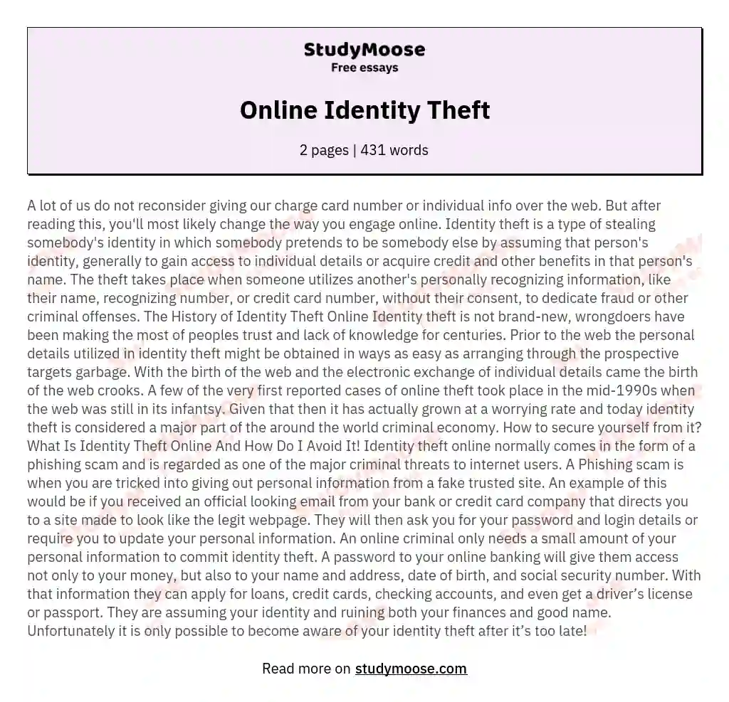 Online Identity Theft essay