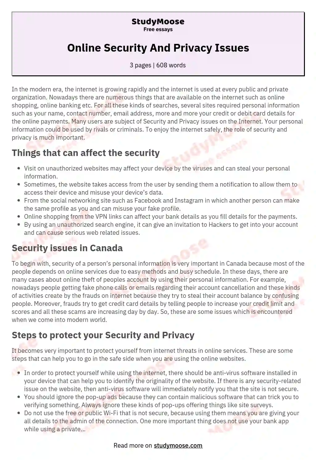 Online Security And Privacy Issues essay