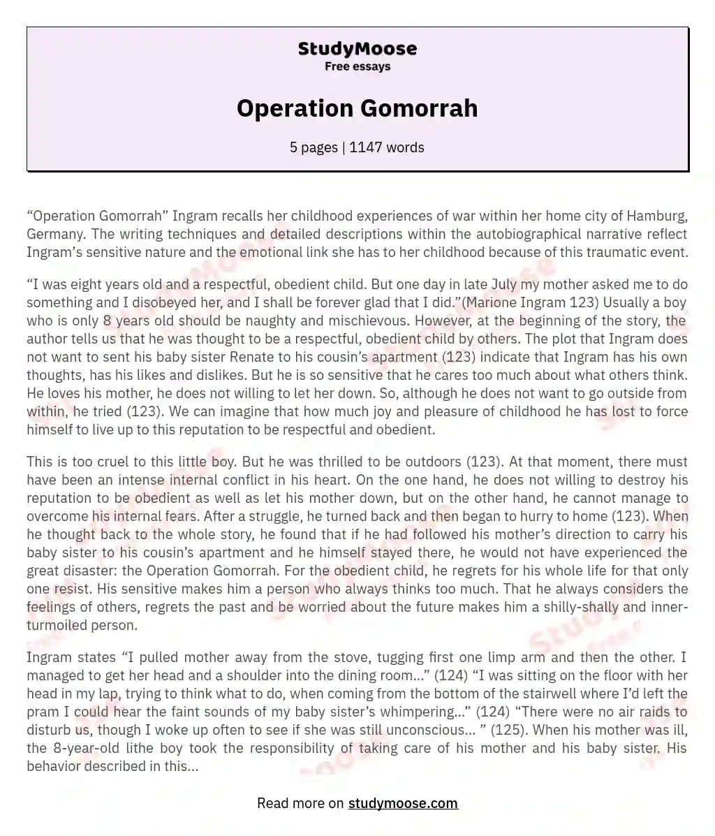Childhood Reflections on Operation Gomorrah essay