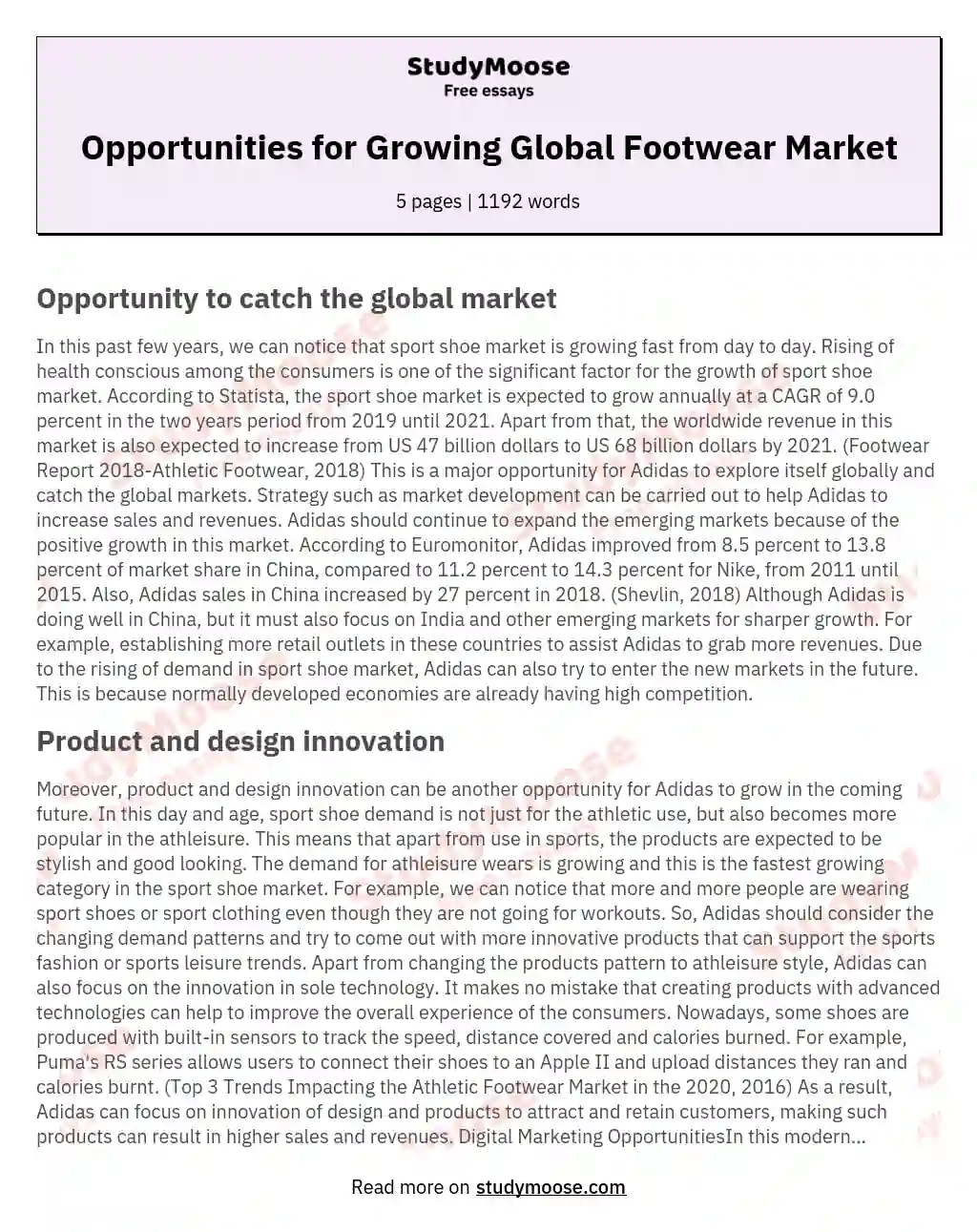 Opportunities for Growing Global Footwear Market essay
