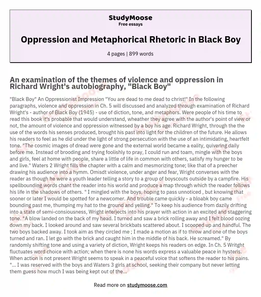 Oppression and Metaphorical Rhetoric in Black Boy