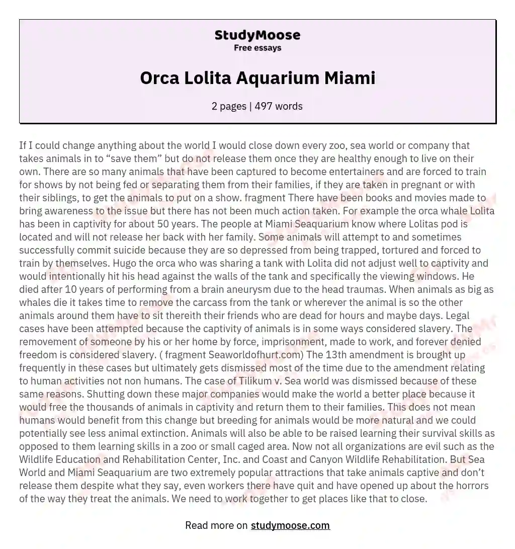 Orca Lolita Aquarium Miami essay