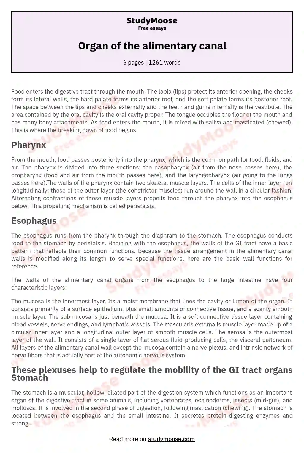 Organ of the alimentary canal essay