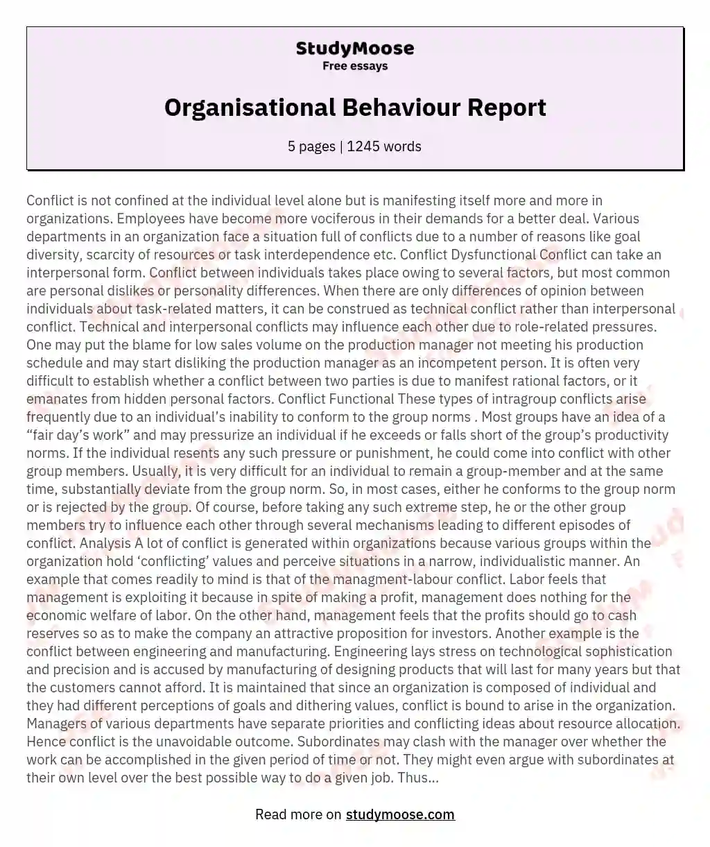 Organisational Behaviour Report essay
