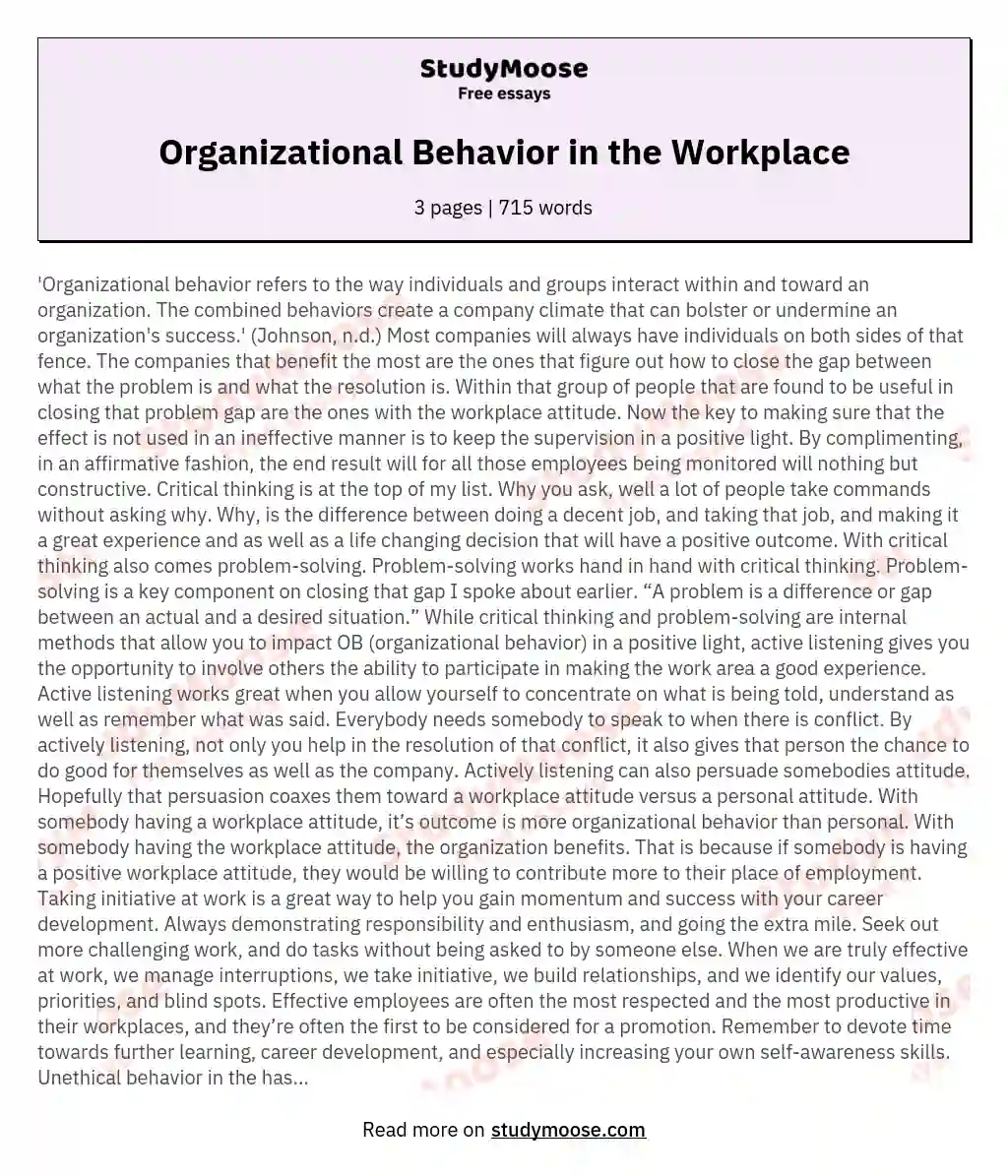 Organizational Behavior in the Workplace essay