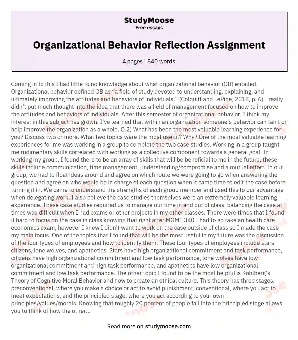 organizational behavior essay topics