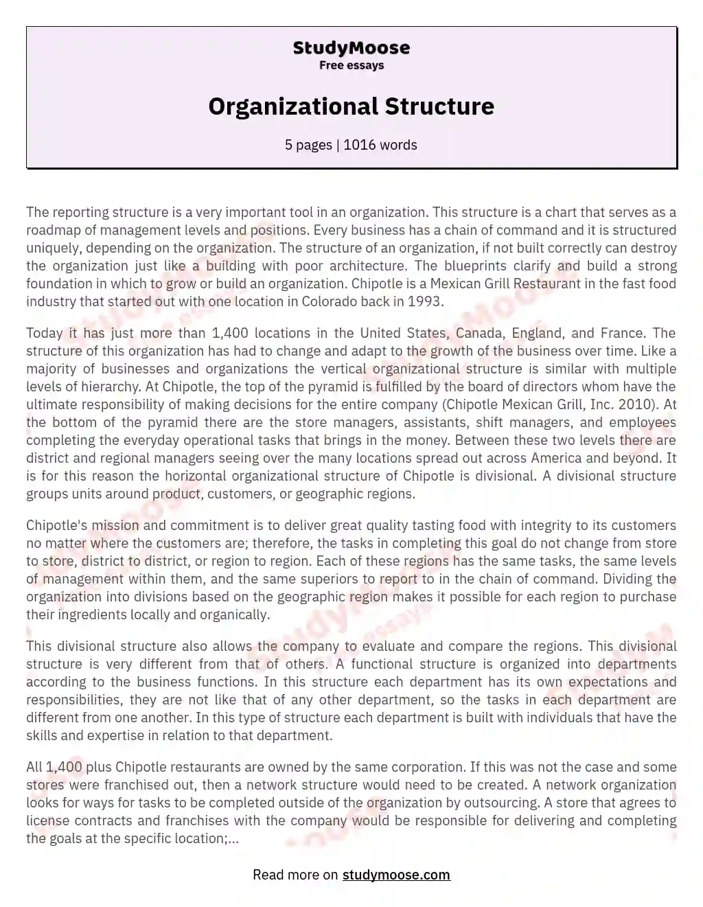 different organizational structure essay