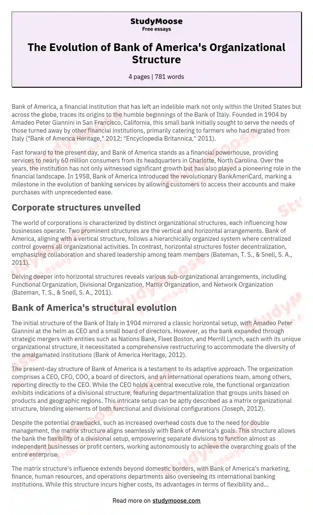The Evolution of Bank of America's Organizational Structure essay