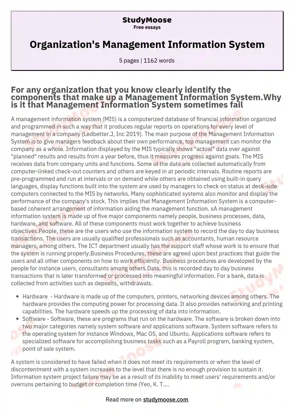 Organization's Management Information System essay