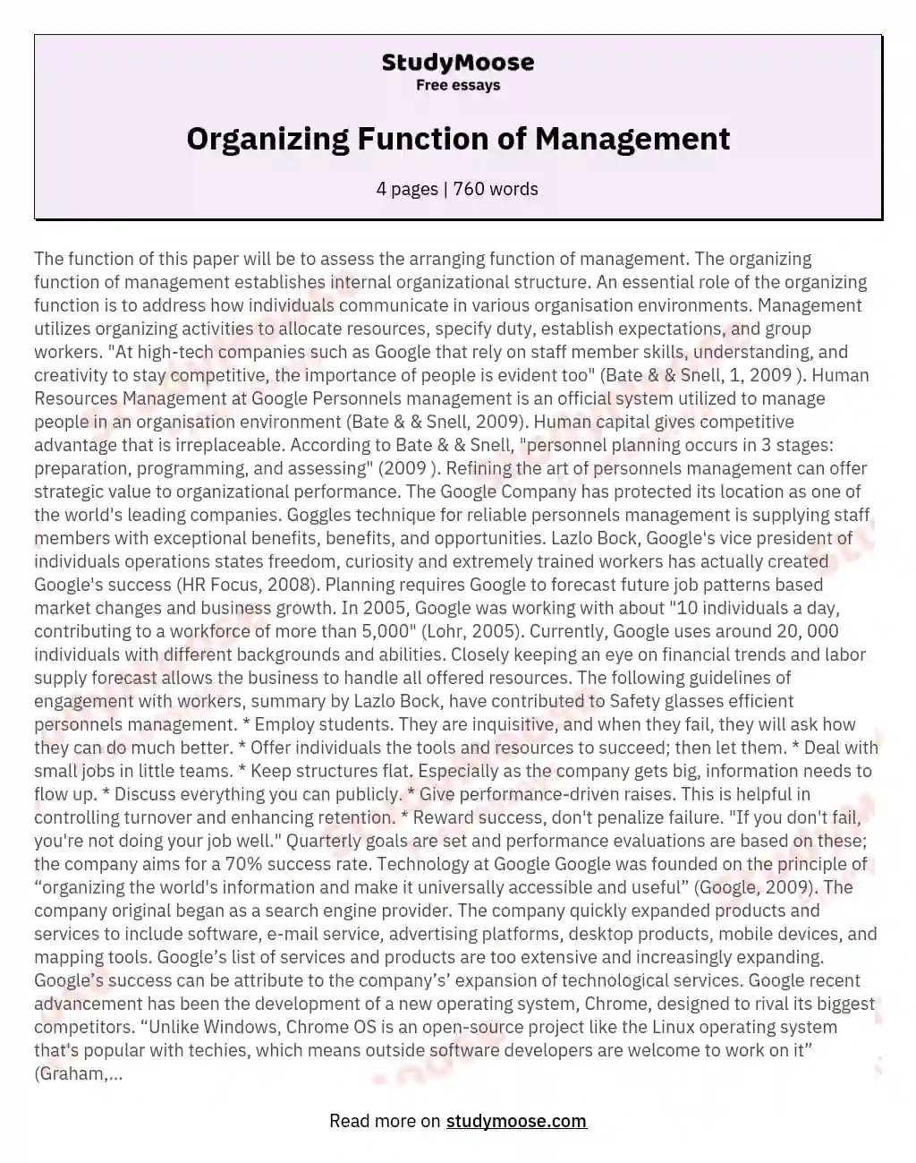 Organizing Function of Management essay