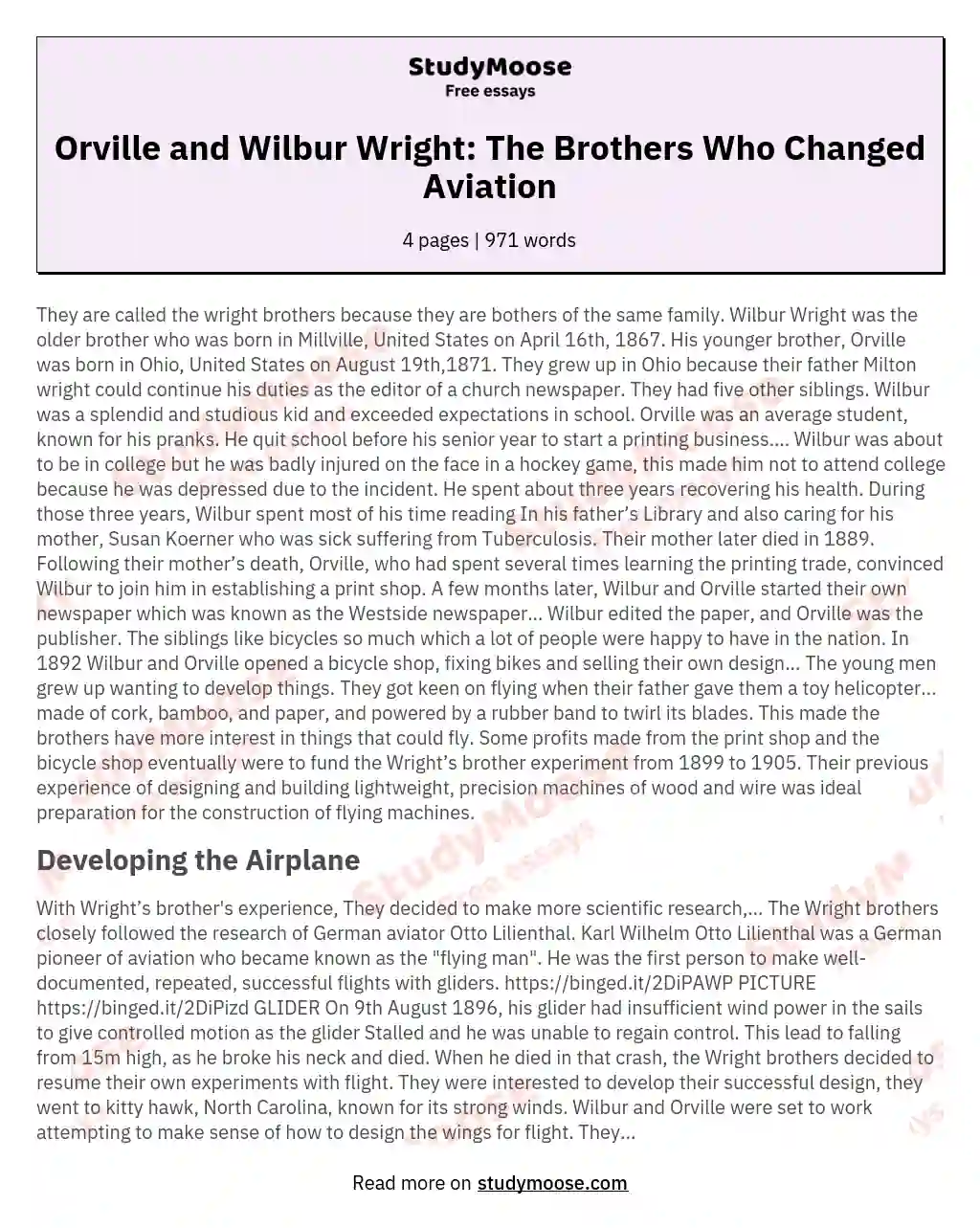 Orville and Wilbur Wright: The Brothers Who Changed Aviation essay